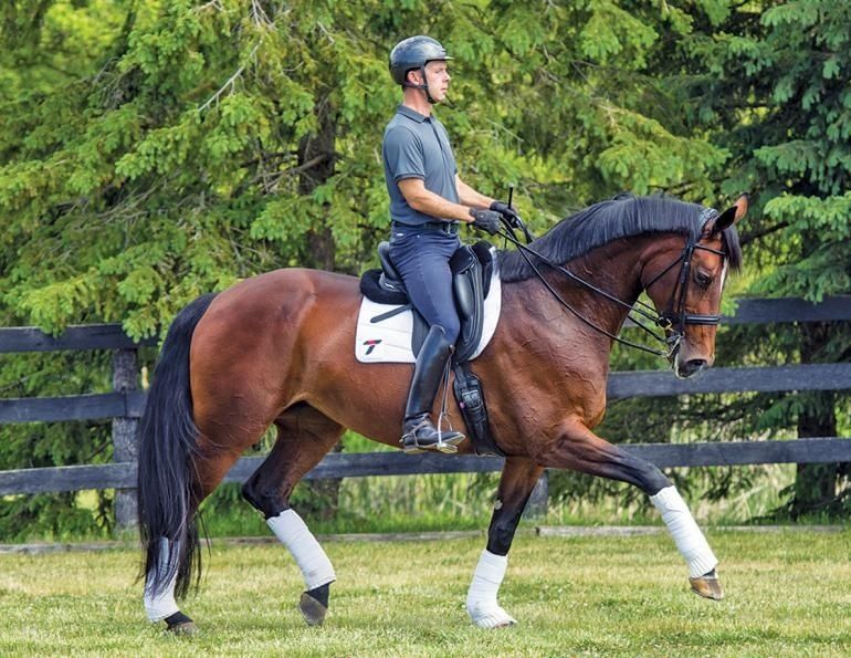 Ruiter te paard met rechte houding tijdens een dressuuroefening