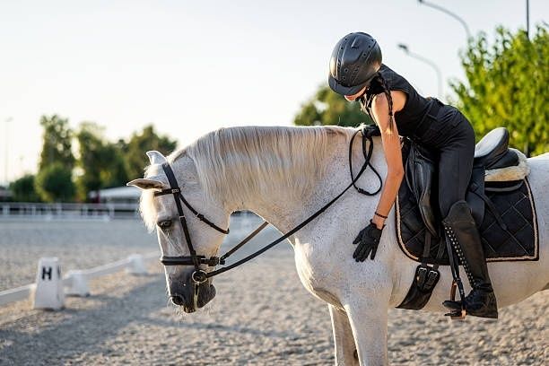 Ruiter laat de teugels vieren op een wit paard in de rijbaan